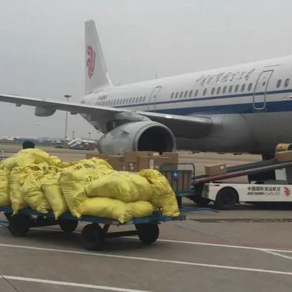 เที่ยวบินจัดส่งจากเซี่ยงไฮ้ไปยังออสเตรเลีย Door To Door FCL Shipping Agency Ups Ddp Service