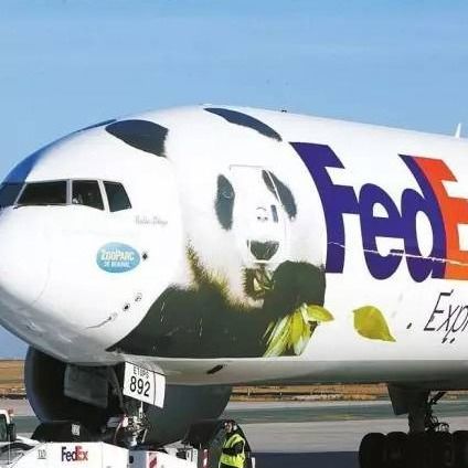 การจัดส่งด่วนไปยังฝรั่งเศสยกระดับ DHL Fedex Door To Door International Shipping